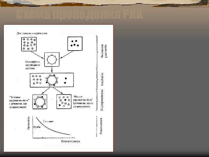 Схема проведения РИА 