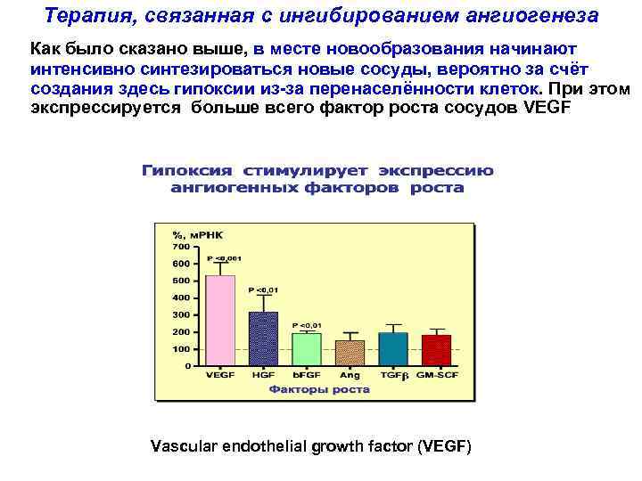 Терапия, связанная с ингибированием ангиогенеза Как было сказано выше, в месте новообразования начинают интенсивно