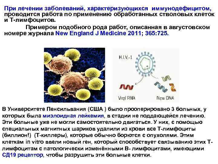 При лечении заболеваний, характеризующихся иммунодефицитом, проводится работа по применению обработанных стволовых клеток и Т-лимфоцитов.