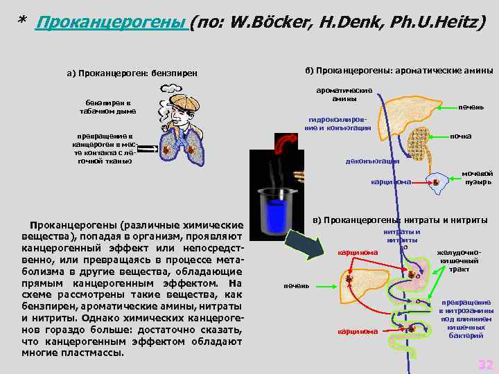 * Проканцерогены (по: W. Böcker, H. Denk, Ph. U. Heitz) а) Проканцероген: бензпирен в