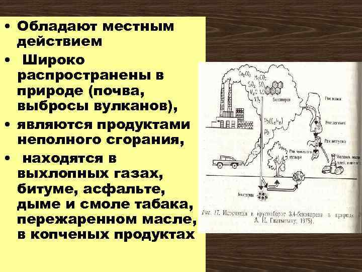  • Обладают местным действием • Широко распространены в природе (почва, выбросы вулканов), •