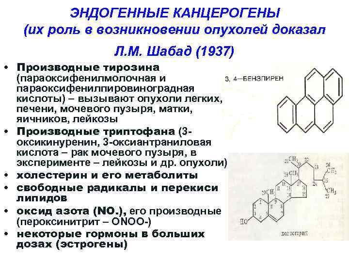 ЭНДОГЕННЫЕ КАНЦЕРОГЕНЫ (их роль в возникновении опухолей доказал Л. М. Шабад (1937) • Производные