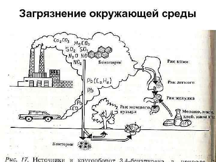Загрязнение окружающей среды 