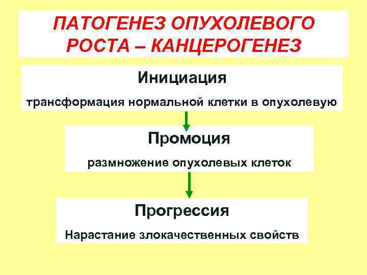 Процесс опухолевого роста. Механизм развития опухоли. Патогенез: инициация - промоция - прогрессия. Схема молекулярных механизмов канцерогенеза. Патогенез опухолевого роста.