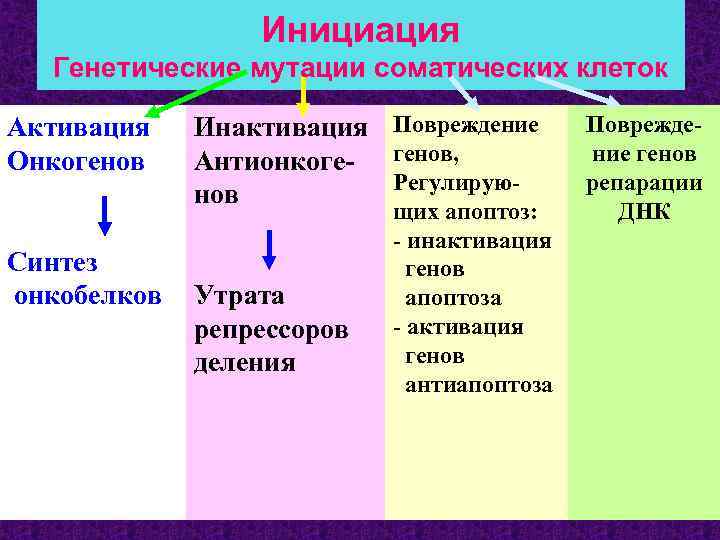 Инициация Генетические мутации соматических клеток Активация Онкогенов Синтез онкобелков Инактивация Повреждение Антионкоге- генов, Регулируюнов