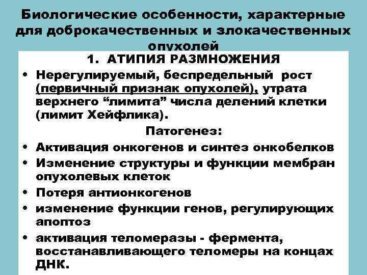 Биологические особенности, характерные для доброкачественных и злокачественных опухолей • • • 1. АТИПИЯ РАЗМНОЖЕНИЯ