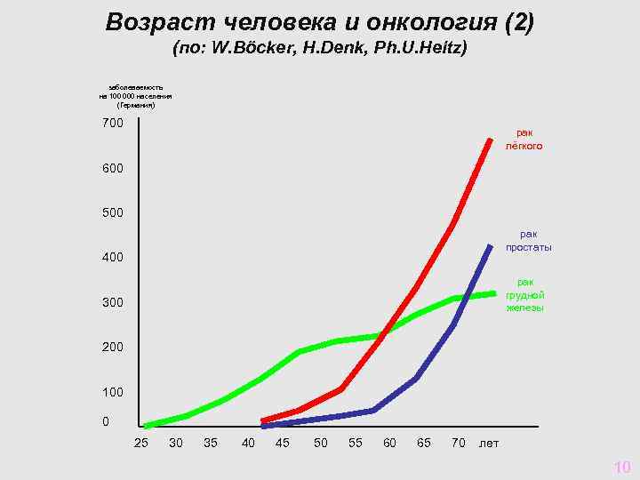Возраст человека и онкология (2) (по: W. Böcker, H. Denk, Ph. U. Heitz) заболеваемость