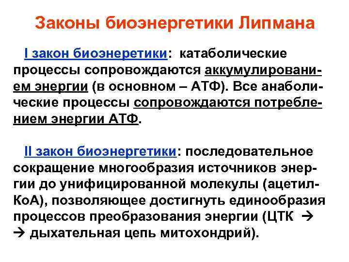 Законы биоэнергетики Липмана I закон биоэнеретики: катаболические процессы сопровождаются аккумулированием энергии (в основном –