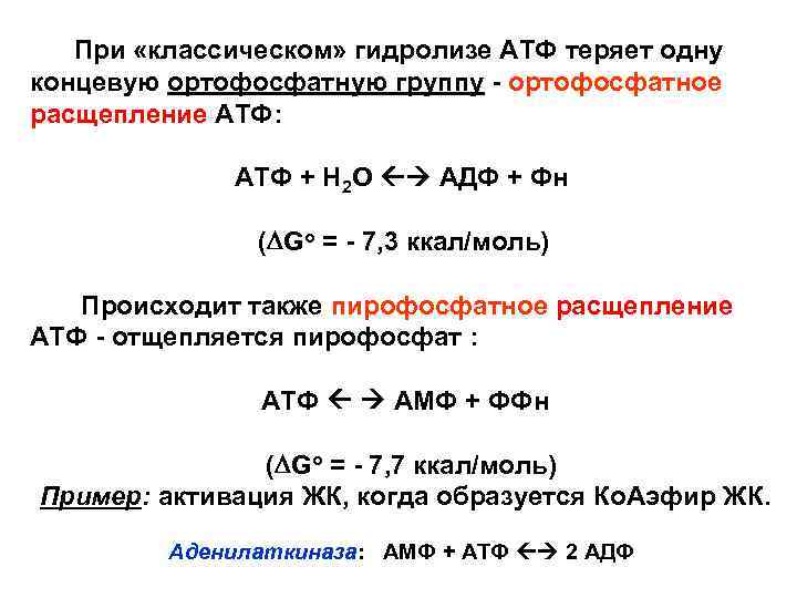 При «классическом» гидролизе АТФ теряет одну концевую ортофосфатную группу - ортофосфатное расщепление АТФ: АТФ