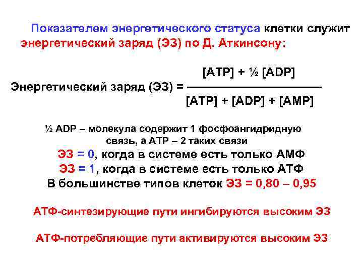 Показателем энергетического статуса клетки служит энергетический заряд (ЭЗ) по Д. Аткинсону: [ATP] + ½