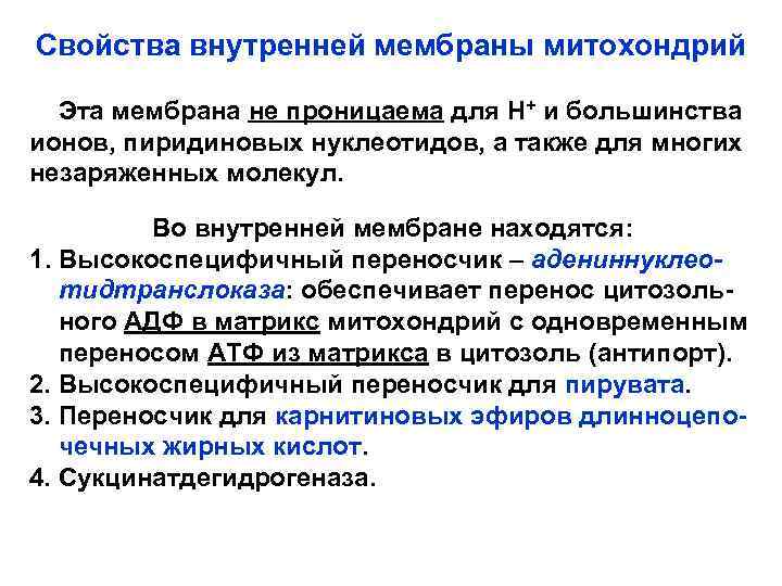 Свойства внутренней мембраны митохондрий Эта мембрана не проницаема для Н+ и большинства ионов, пиридиновых