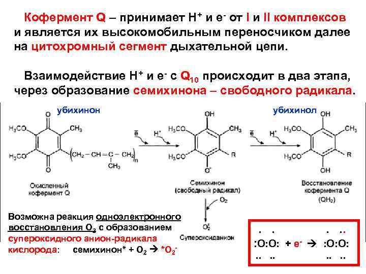 Кофермент Q – принимает Н+ и е- от I и II комплексов и является