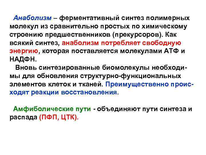 Анаболизм – ферментативный синтез полимерных молекул из сравнительно простых по химическому строению предшественников (прекурсоров).