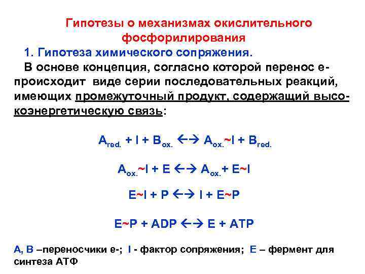 Гипотезы о механизмах окислительного фосфорилирования 1. Гипотеза химического сопряжения. В основе концепция, согласно которой