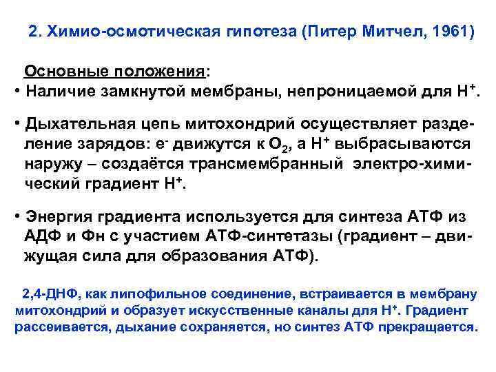 2. Химио-осмотическая гипотеза (Питер Митчел, 1961) Основные положения: • Наличие замкнутой мембраны, непроницаемой для