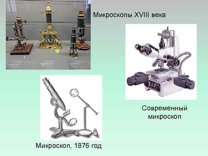 Микроскопы XVIII века Современный микроскоп Микроскоп, 1876 год 
