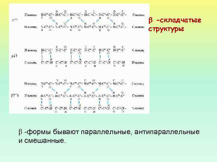  -складчатые структуры -формы бывают параллельные, антипараллельные и смешанные. 