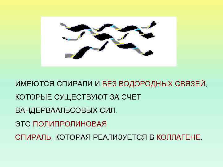 ИМЕЮТСЯ СПИРАЛИ И БЕЗ ВОДОРОДНЫХ СВЯЗЕЙ, КОТОРЫЕ СУЩЕСТВУЮТ ЗА СЧЕТ ВАНДЕРВААЛЬСОВЫХ СИЛ. ЭТО ПОЛИПРОЛИНОВАЯ