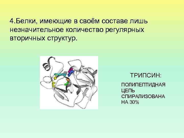 4. Белки, имеющие в своём составе лишь незначительное количество регулярных вторичных структур. ТРИПСИН: ПОЛИПЕПТИДНАЯ