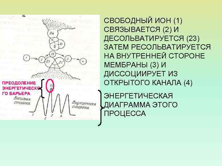 ПРЕОДОЛЕНИЕ ЭНЕРГЕТИЧЕСКО ГО БАРЬЕРА СВОБОДНЫЙ ИОН (1) СВЯЗЫВАЕТСЯ (2) И ДЕСОЛЬВАТИРУЕТСЯ (23) ЗАТЕМ РЕСОЛЬВАТИРУЕТСЯ