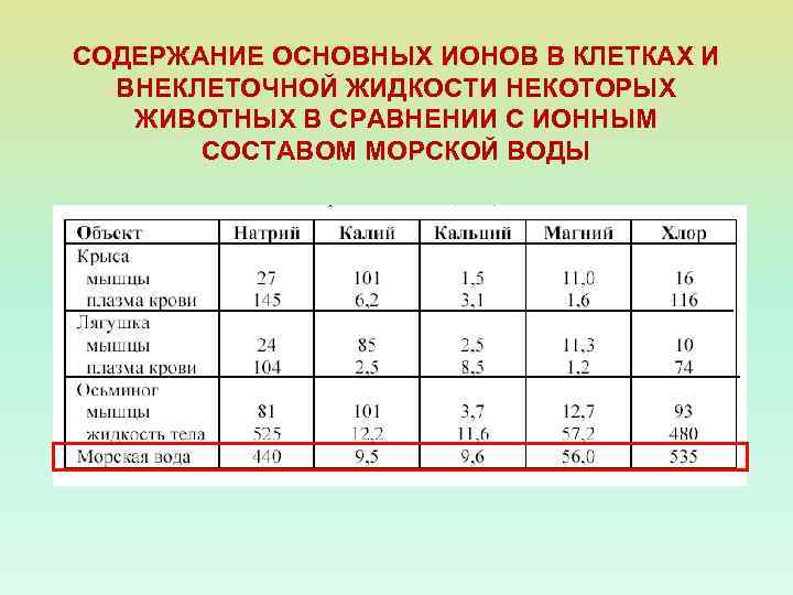 СОДЕРЖАНИЕ ОСНОВНЫХ ИОНОВ В КЛЕТКАХ И ВНЕКЛЕТОЧНОЙ ЖИДКОСТИ НЕКОТОРЫХ ЖИВОТНЫХ В СРАВНЕНИИ С ИОННЫМ