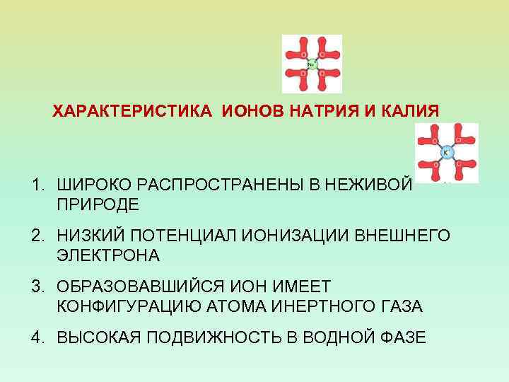 ХАРАКТЕРИСТИКА ИОНОВ НАТРИЯ И КАЛИЯ 1. ШИРОКО РАСПРОСТРАНЕНЫ В НЕЖИВОЙ ПРИРОДЕ 2. НИЗКИЙ ПОТЕНЦИАЛ