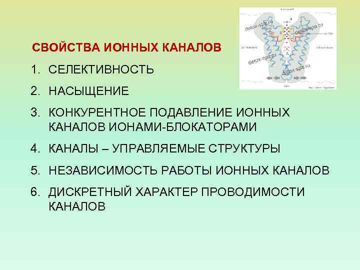 СВОЙСТВА ИОННЫХ КАНАЛОВ 1. СЕЛЕКТИВНОСТЬ 2. НАСЫЩЕНИЕ 3. КОНКУРЕНТНОЕ ПОДАВЛЕНИЕ ИОННЫХ КАНАЛОВ ИОНАМИ-БЛОКАТОРАМИ 4.