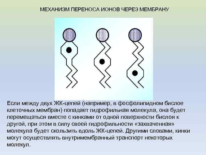 Понять перенести. Перенос ионов через мембрану. Механизм активного переноса ионов. Процесс однонаправленного перемещения ионов через мембрану. Механизмы переноса веществ через мембраны.