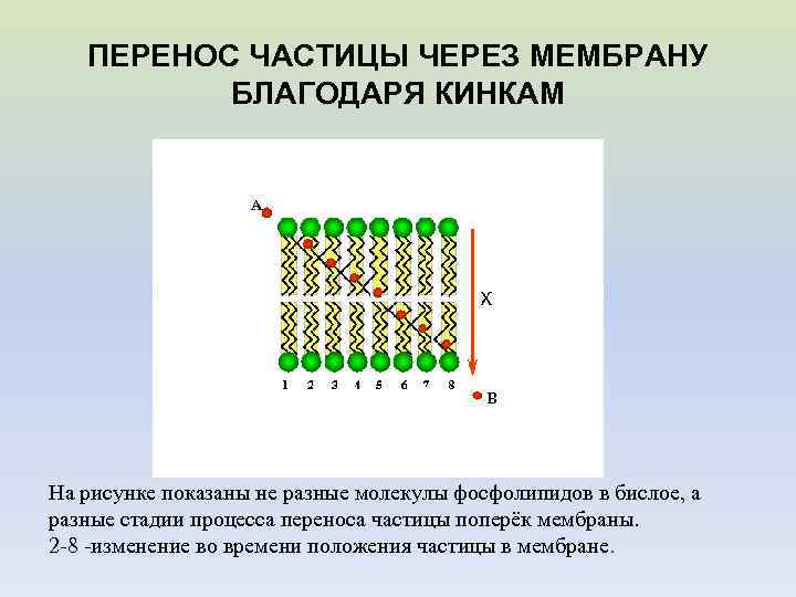 Перемещение частицы