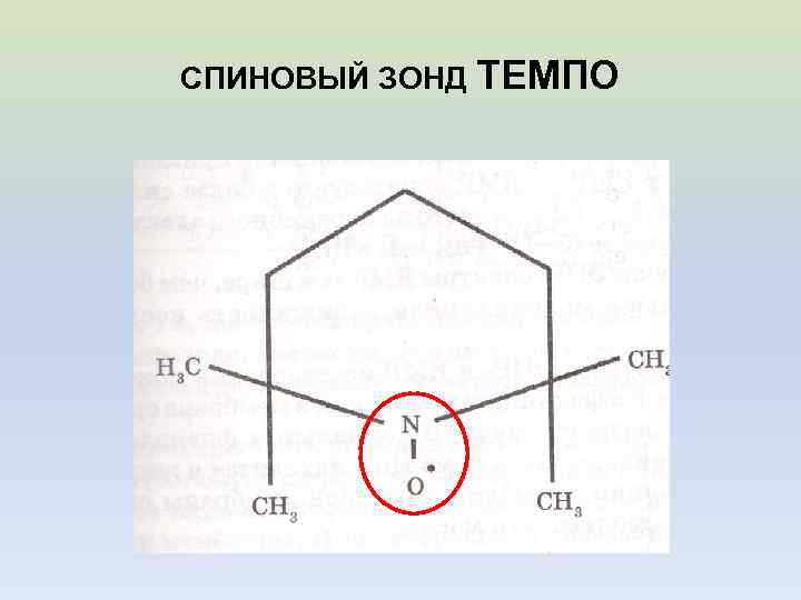 СПИНОВЫЙ ЗОНД ТЕМПО 