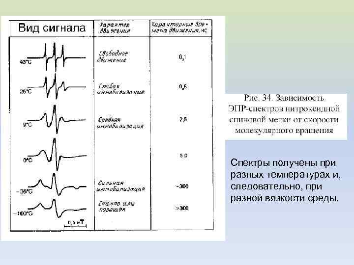Спектры получены при разных температурах и, следовательно, при разной вязкости среды. 