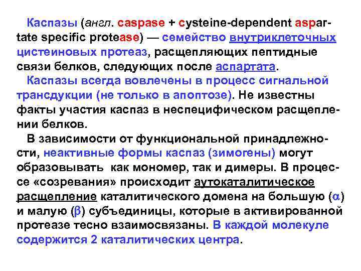  Каспазы (англ. caspase + cysteine-dependent aspartate specific protease) — семейство внутриклеточных цистеиновых протеаз,