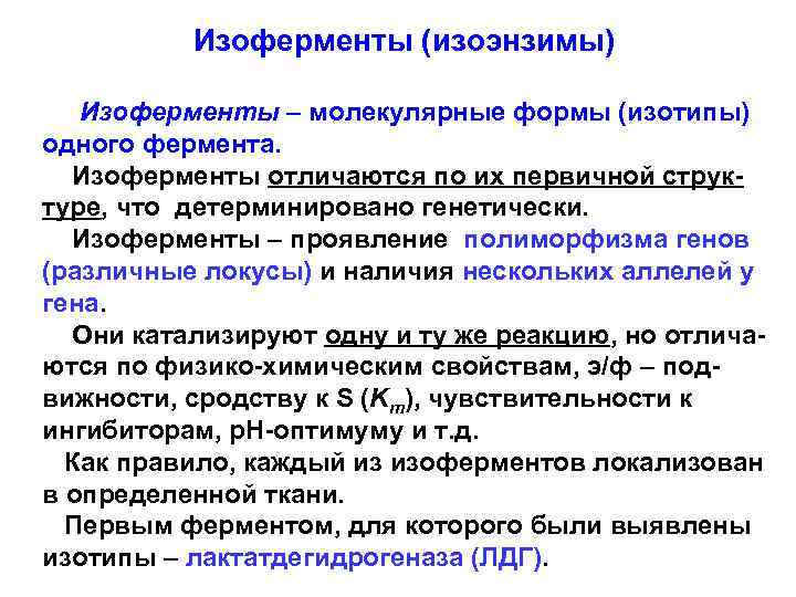 Изоферменты (изоэнзимы) Изоферменты – молекулярные формы (изотипы) одного фермента. Изоферменты отличаются по их первичной