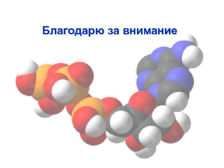 Благодарю за внимание 