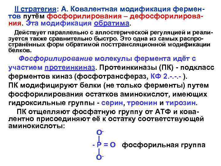  II стратегия: А. Ковалентная модификация ферментов путём фосфорилирования – дефосфорилирования. Эта модификация обратима.