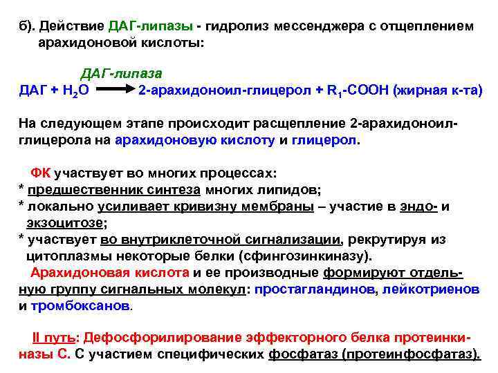 б). Действие ДАГ-липазы - гидролиз мессенджера с отщеплением арахидоновой кислоты: ДАГ-липаза ДАГ + Н