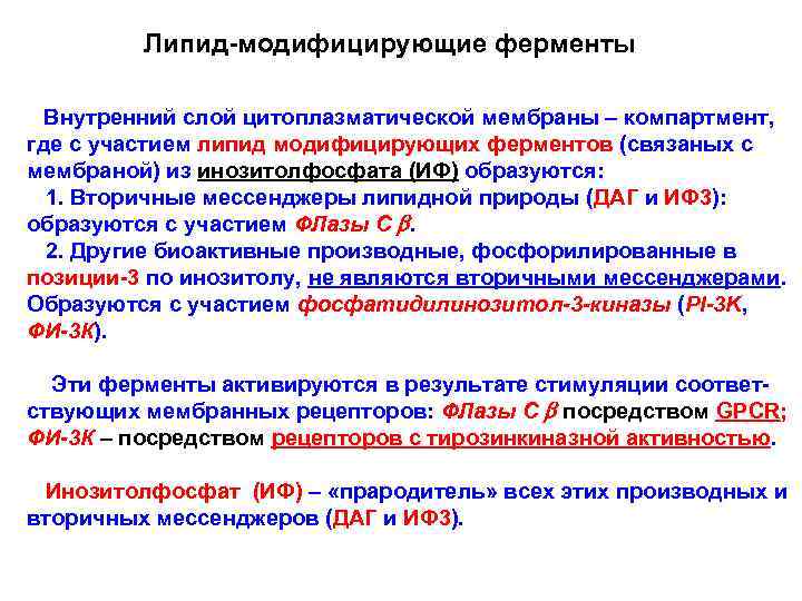 Липид-модифицирующие ферменты Внутренний слой цитоплазматической мембраны – компартмент, где с участием липид модифицирующих ферментов