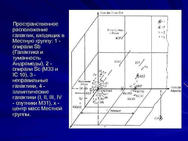  Пространственное расположение галактик, входящих в Местную группу: 1 - спирали Sb (Галактика и