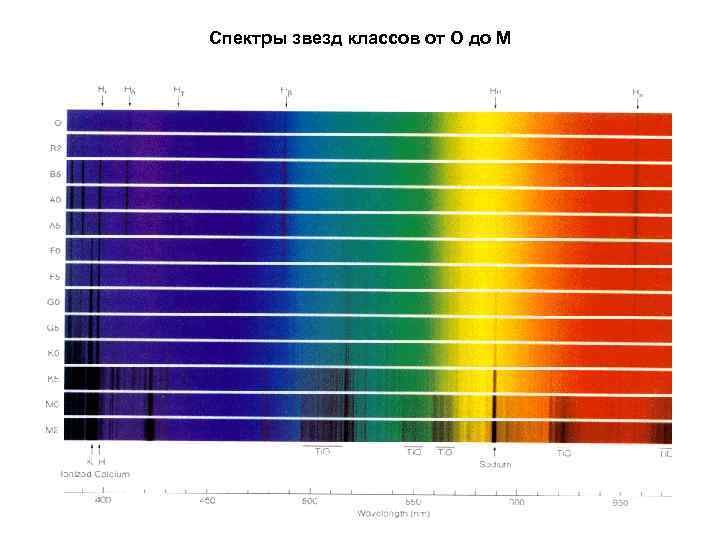 Новый каталог спектр. Спектр звезд. Спектры звезд. Спектры излучения звезд. Спектральные классы.