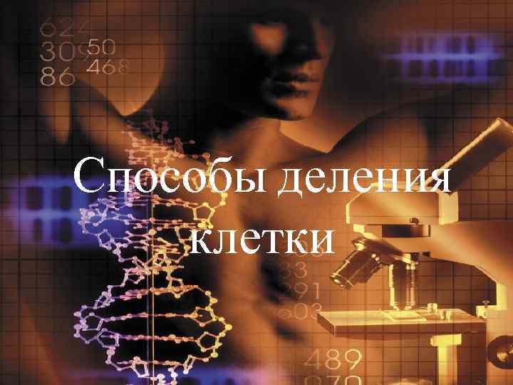 Способы деления клетки 