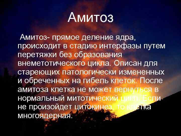 Амитоз- прямое деление ядра, происходит в стадию интерфазы путем перетяжки без образования внеметотического цикла.