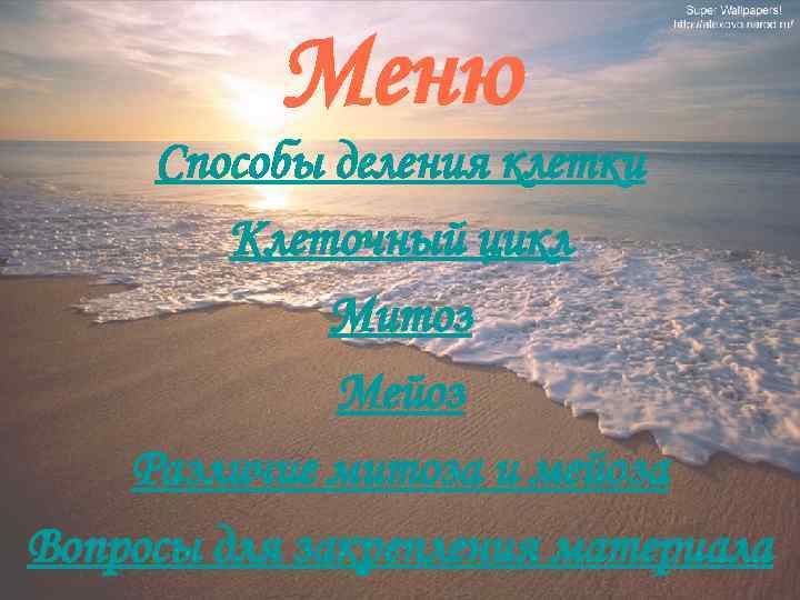 Меню Способы деления клетки Клеточный цикл Митоз Мейоз Различие митоза и мейоза Вопросы для