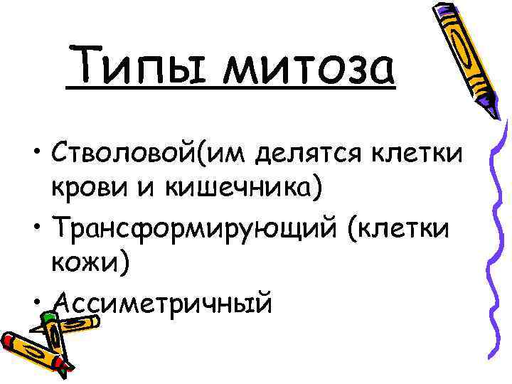 Типы митоза • Стволовой(им делятся клетки крови и кишечника) • Трансформирующий (клетки кожи) •