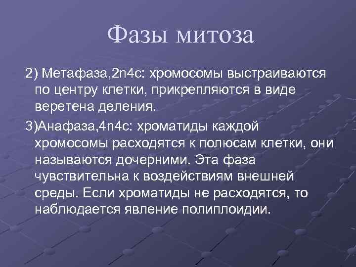 Фазы митоза 2) Метафаза, 2 n 4 c: хромосомы выстраиваются по центру клетки, прикрепляются