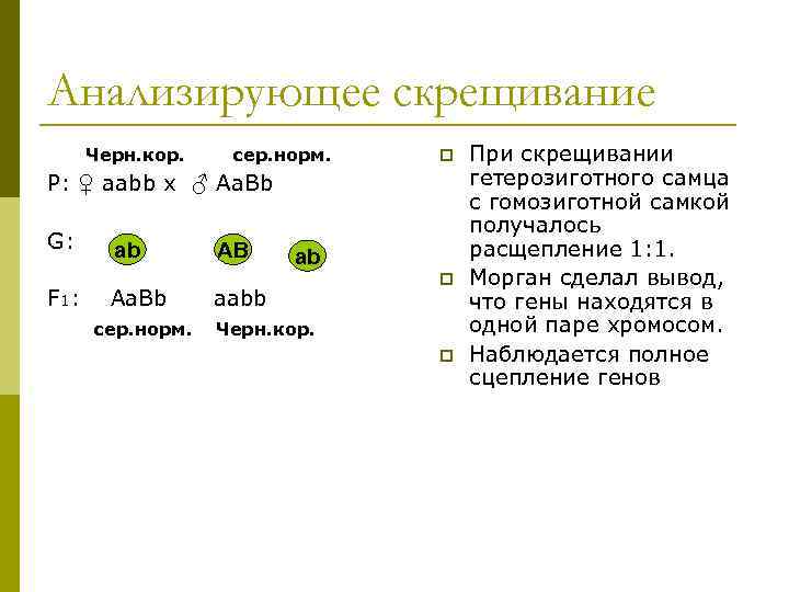 Анализирующее расщепление. Моногибридное анализирующее скрещивание. Анализирующее моногибридное скрещивание расщепление. Анализирующее скрещивание AABB. При моногибридном скрещивании анализируется.