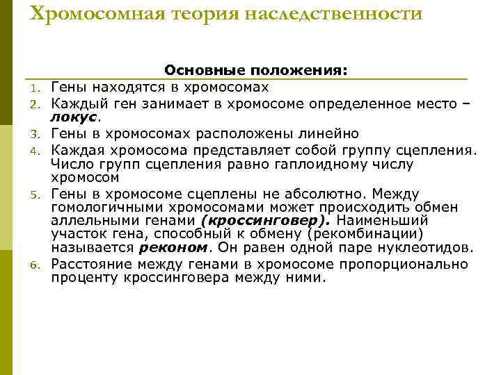 Хромосомная теория наследственности Основные положения: 1. Гены находятся в хромосомах 2. Каждый ген занимает