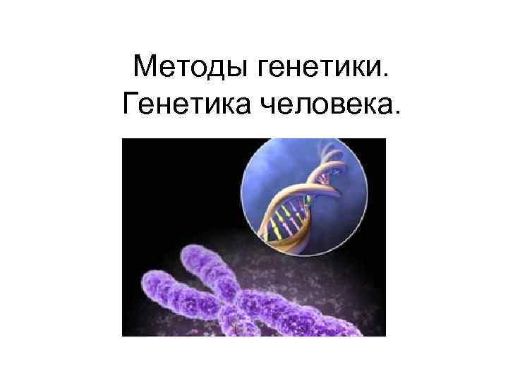 Методы генетики. Генетика человека. 
