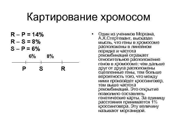 Презентация картирование хромосом человека