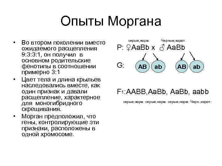 Последовательность скрещивания моргана