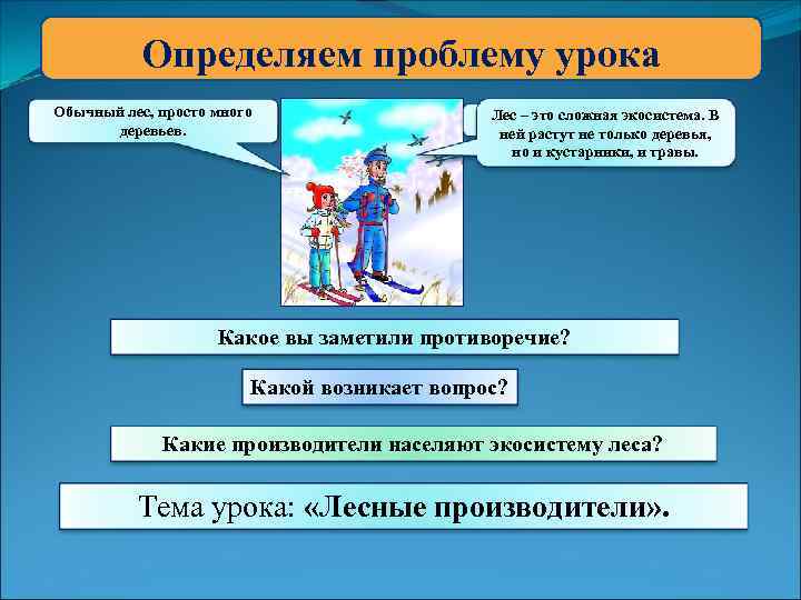 Определяем проблему урока Обычный лес, просто много деревьев. Лес –красиво в зимнем лесу! В